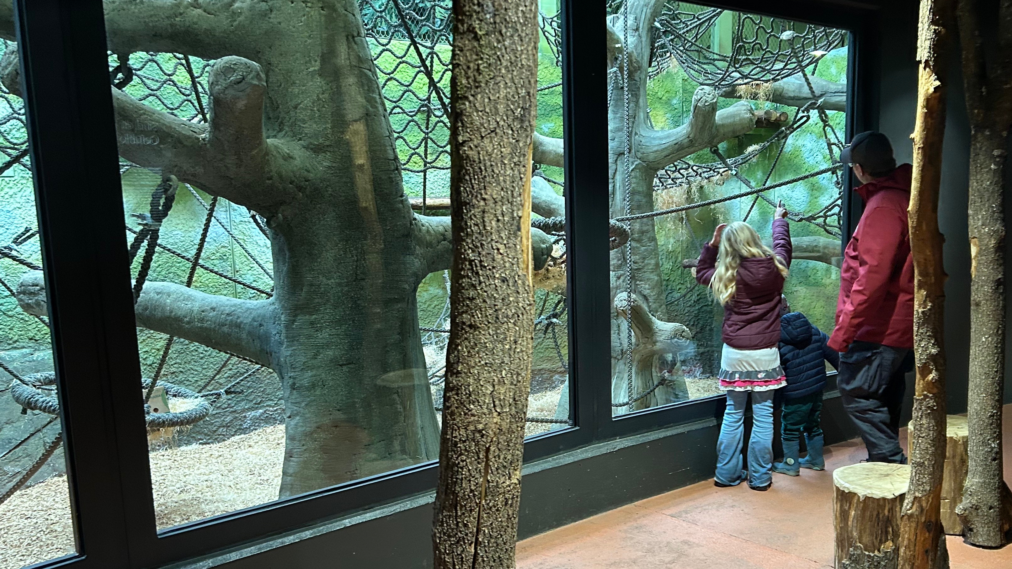 Dresden Zoo: Are cost-cutting measures like those at the DVB now imminent?
