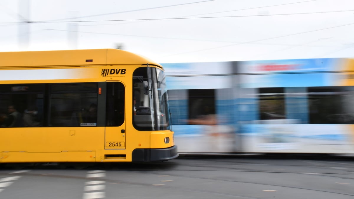 Dresden puts the brakes on DVB citizens' initiative: Mayor Hilbert ...