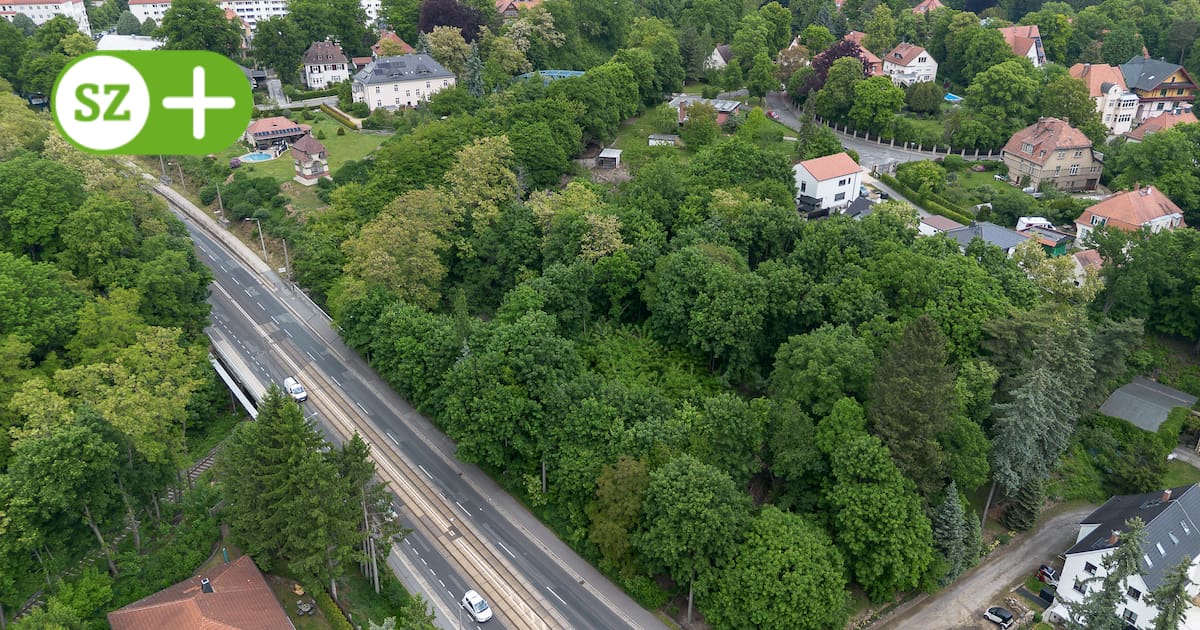 Görlitz: One property owner is allowed to build new single-family homes ...